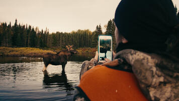 Chasse à l'orignal : L'aviation de brousse face aux forces de la nature