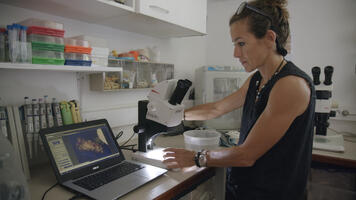 Biomimétisme, l'innovation inspirée du vivant