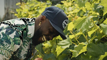 Le Secret de Maurice