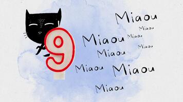Un chat