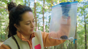 Les micromammifères