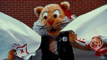 Bienvenue chez Mascocottes