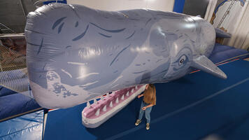 Je me débrouille pour... faire une béluga de moi-même