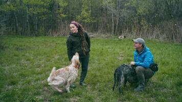 La bécasse d'Amérique